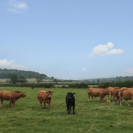 Bellmanear Farm Holiday home Malton