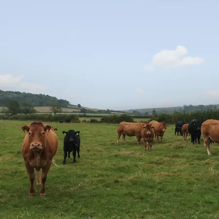 Casa vacanze Bellmanear Farm