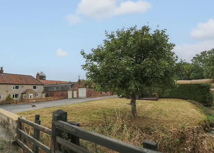Bellmanear Farm